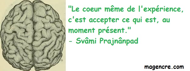 2019 03 21 Svami Prajnanpad 2