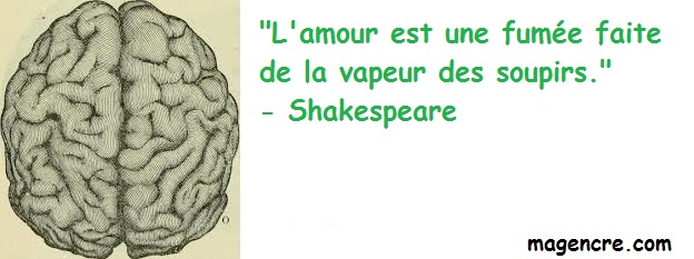 2019 04 04 Shakespeare 4