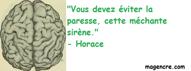 2019 06 17 Horace 4.jpg