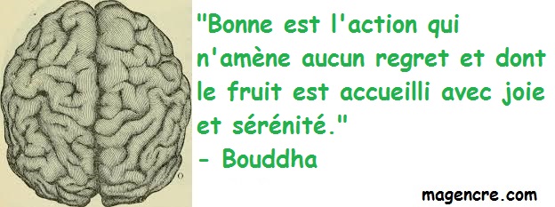 2020 04 15 Bouddha 11