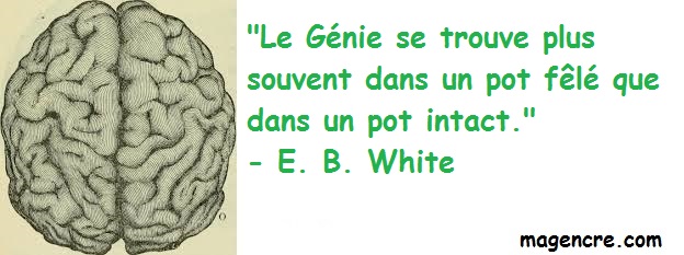 2020 05 31 E B White